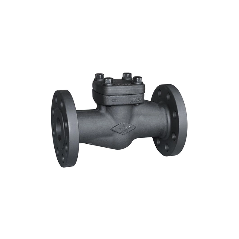 Поворотный обратный клапан из кованой стали A105N 